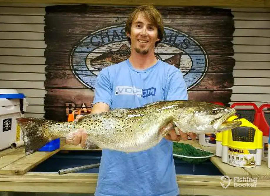 Shallow Minded Charters