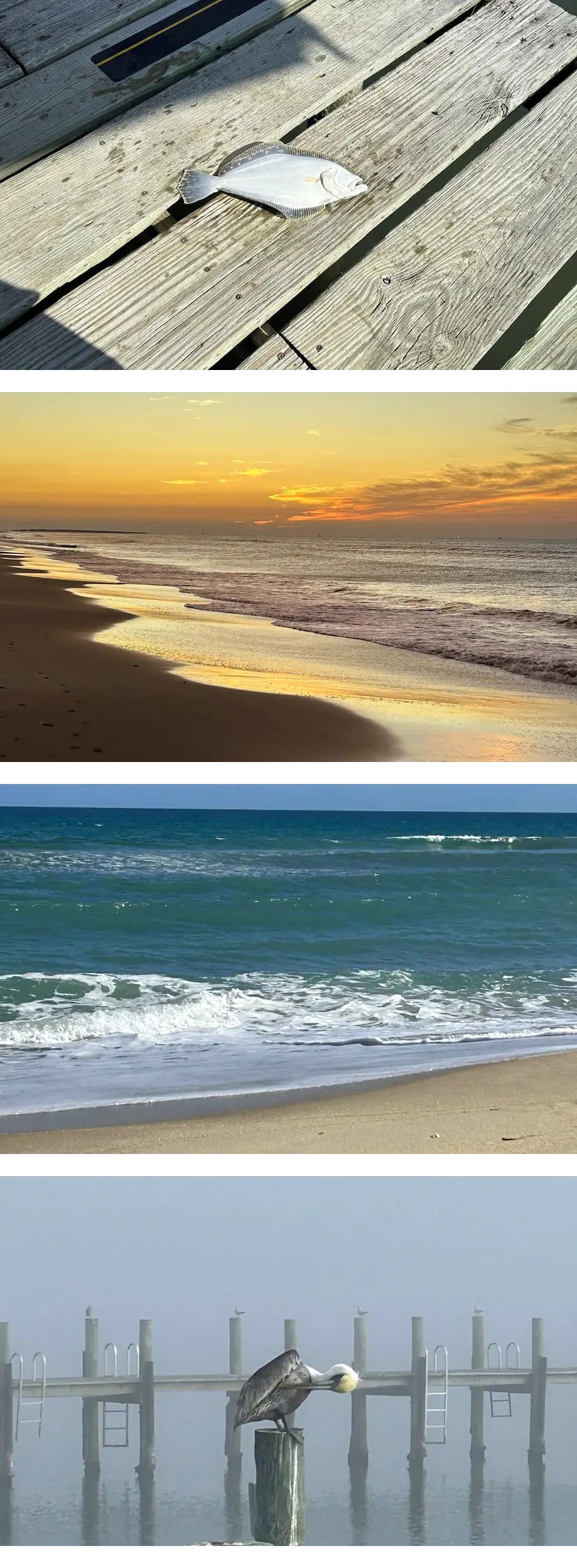 Beautiful oceanfront 5 bedroom hiuse wit...